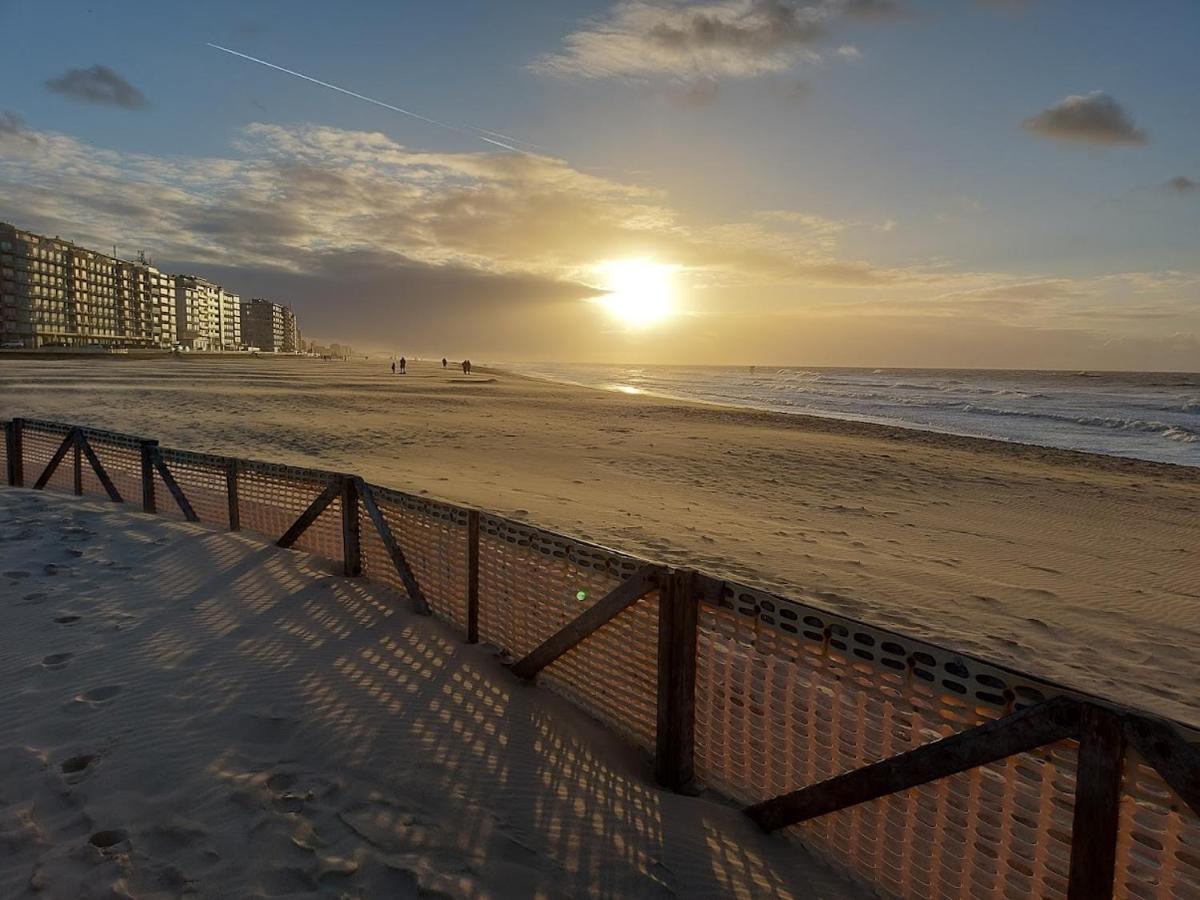 Appartement Met Zeezicht En Verwarmd Zwembad Oostende Dış mekan fotoğraf